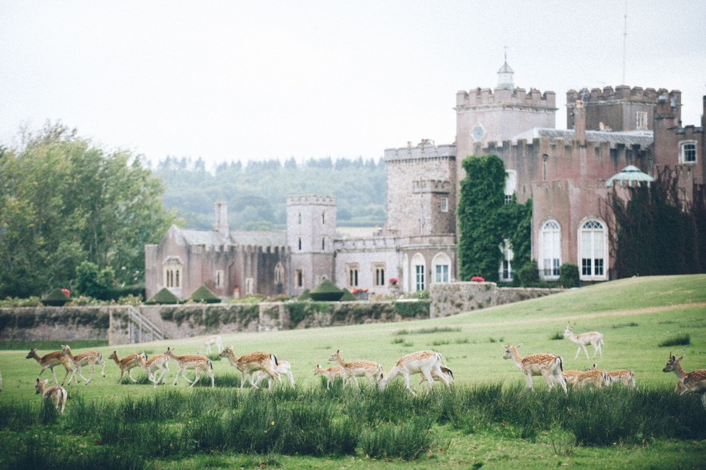 Powderham Castle to receive lifeline grant towards restoration of its towers The Devon Daily